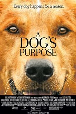 A Dog's Purpose from A Dog's Purpose
